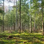 Kamp alanı Het Veluws Paradijs, Nu Met Extra Bij Te Boeken Hottub
