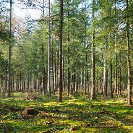 Kemping Het Veluws Paradijs