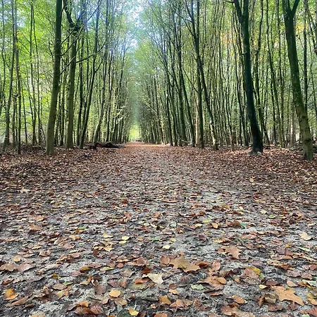 Kemping Het Veluws Paradijs