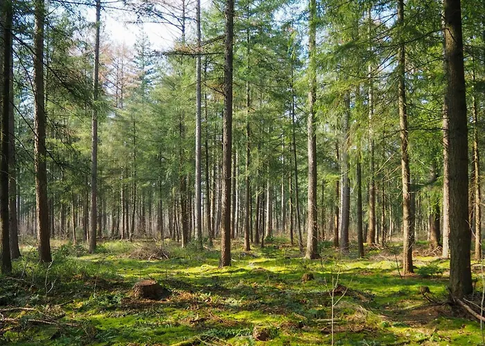 Campsite Het Veluws Paradijs, Nu Met Extra Bij Te Boeken Hottub