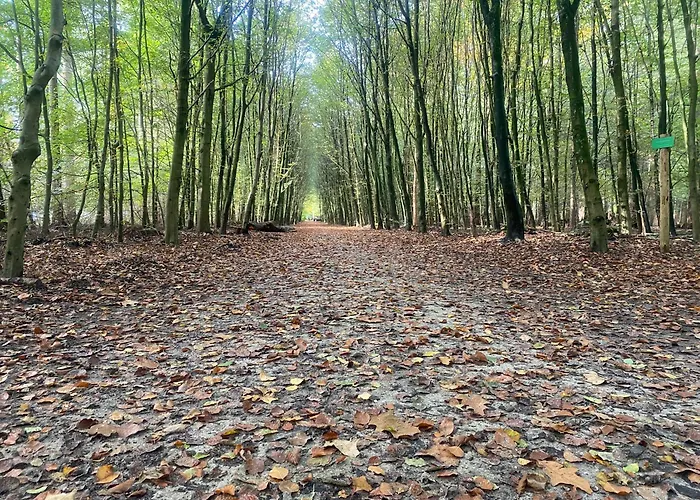 Campsite Het Veluws Paradijs, Nu Met Extra Bij Te Boeken Hottub